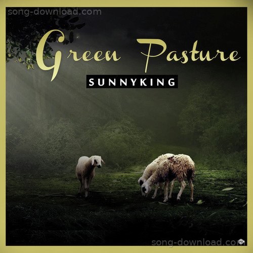 Sunny King Songs MP3 Download